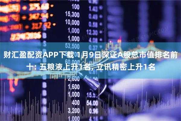 财汇盈配资APP下载 1月9日深证A股总市值排名前十: 五粮液上升1名, 立讯精密上升1名