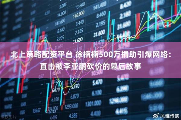 北上策略配资平台 徐楠楠500万捐助引爆网络：直击被李亚鹏砍价的幕后故事